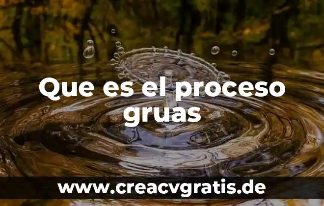 Que es un proceso enfermero y sus faces 3 Que es el proceso gruas