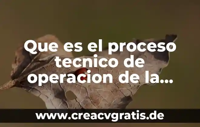 Qué es una función y qué es una operación 3 Que es el proceso tecnico de operacion de la constracción