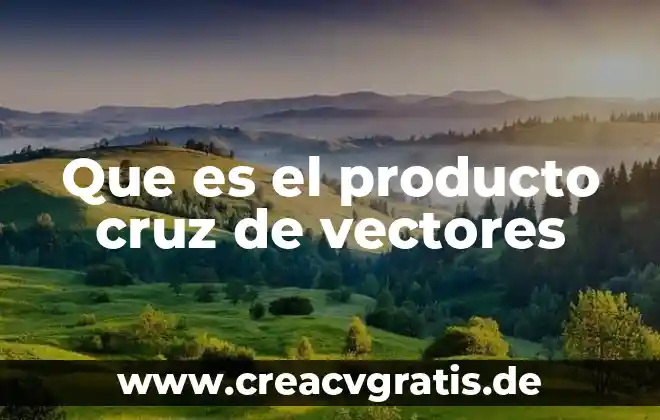 Que es el producto vectorial de dos o más vectores 5 Que es el producto cruz de vectores