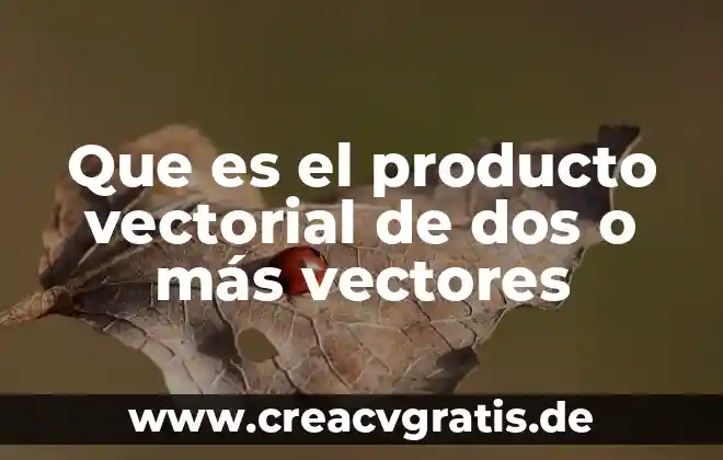 Que es el producto cruz de vectores 5 Que es el producto vectorial de dos o más vectores