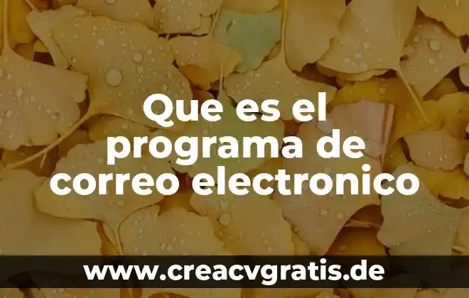 Que es el nombre de usuario en un correo electronico 8 Que es el programa de correo electronico