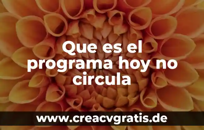 Que es ser santo hoy 4 Que es el programa hoy no circula