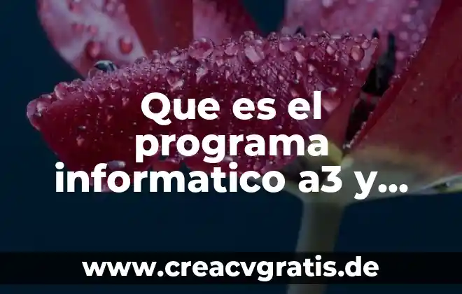 Tipos de erupciones en la piel que es 5 Que es el programa informatico a3 y para que sirve