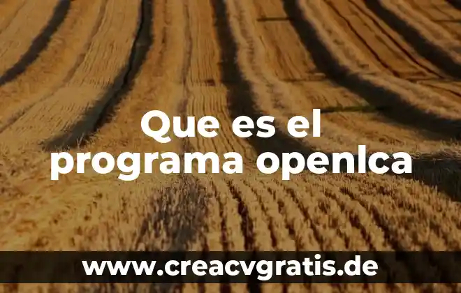 Que es un programa y tipos de programas 8 Que es el programa openlca