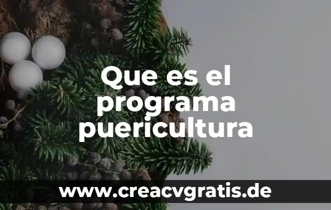 Que es un programa y tipos de programas 3 Que es el programa puericultura