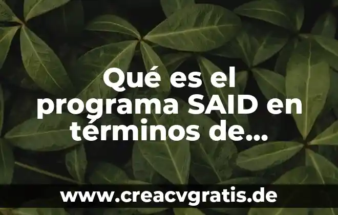 Que es h2 en informatica 6 Qué es el programa SAID en términos de informática
