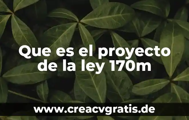 Que es proyecto y tipos de proyecto 5 Que es el proyecto de la ley 170m