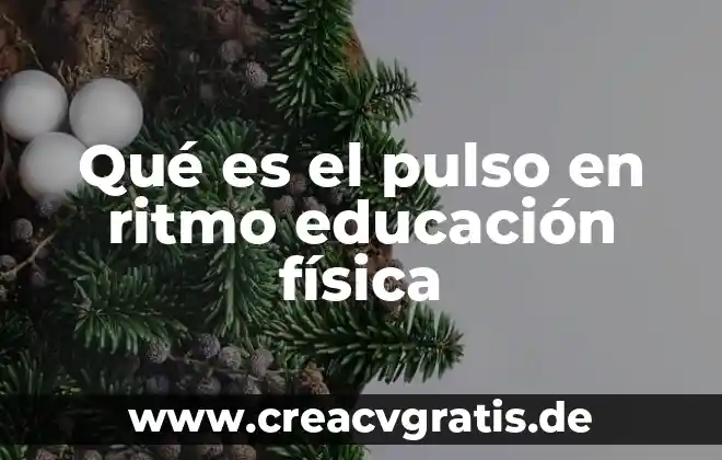 Qué es el pulso concepto para niños 7 Qué es el pulso en ritmo educación física