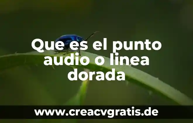 Qué es estudio y formatos de audio 3 Que es el punto audio o linea dorada