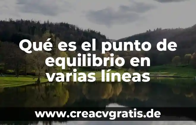 Para que es importante conocer las lineas imagnarias 3 Qué es el punto de equilibrio en varias líneas