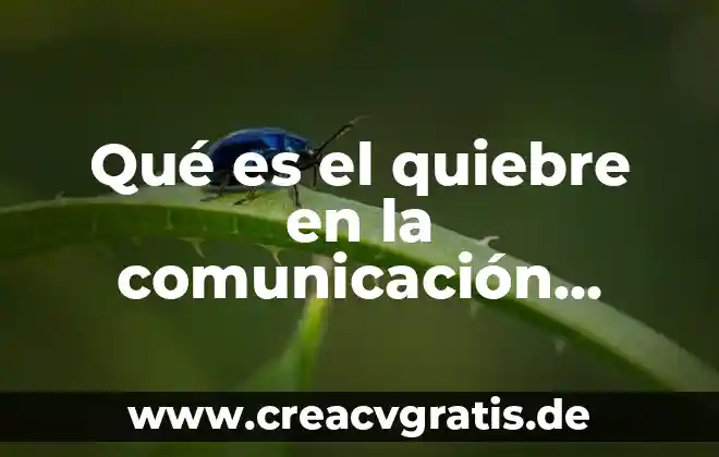 Que es la capacidad efectiva en pozo 4 Qué es el quiebre en la comunicación efectiva