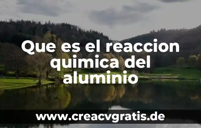 Que es un modelo de reaccion quimica 8 Que es el reaccion quimica del aluminio