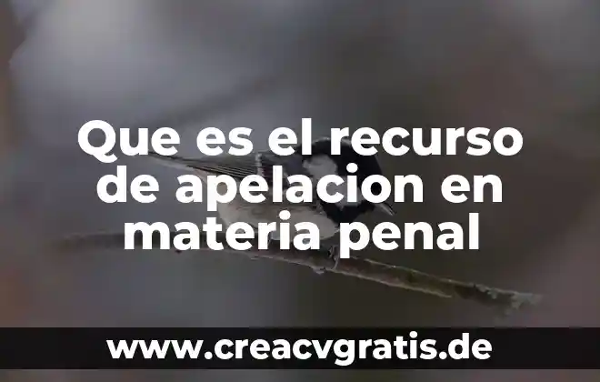 Que es el recurso de apelacion yahoo 7 Que es el recurso de apelacion en materia penal