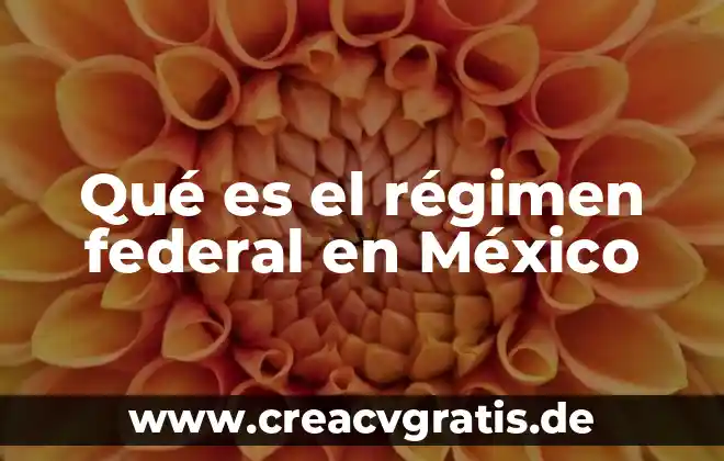 ¿Qué es la ley federal del trabajo en México? 4 Qué es el régimen federal en México