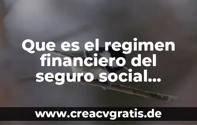 Como explicar que es un conexto social turistico 6 Que es el regimen financiero del seguro social yahoo