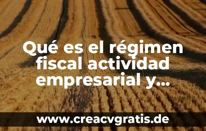 Que es lenguaje empresarial ejemplos 3 Qué es el régimen fiscal actividad empresarial y profesional