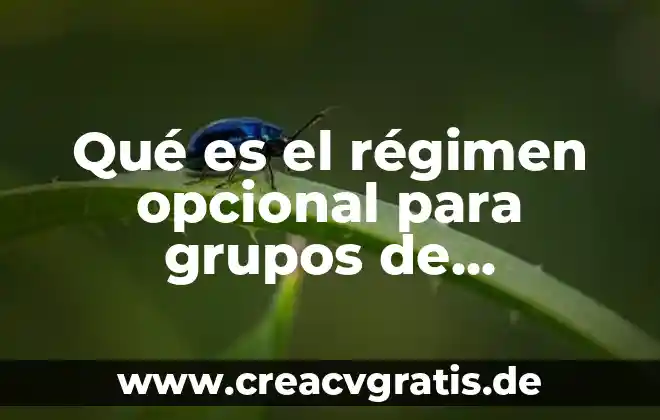 Vodcast que es 8 Qué es el régimen opcional para grupos de sociedades
