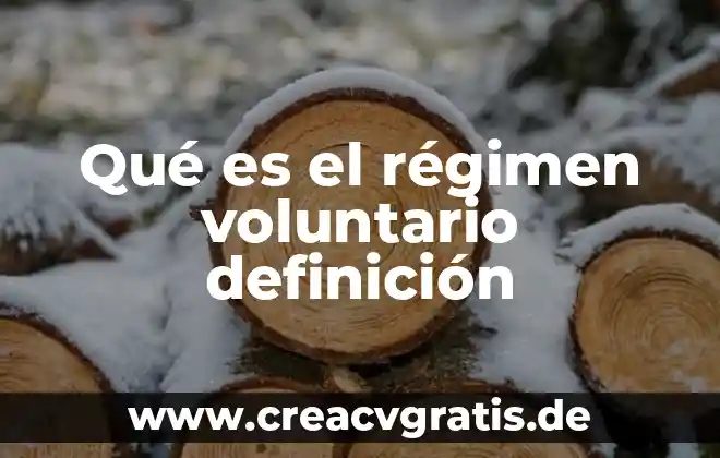 Tipos de erupciones en la piel que es 8 Qué es el régimen voluntario definición