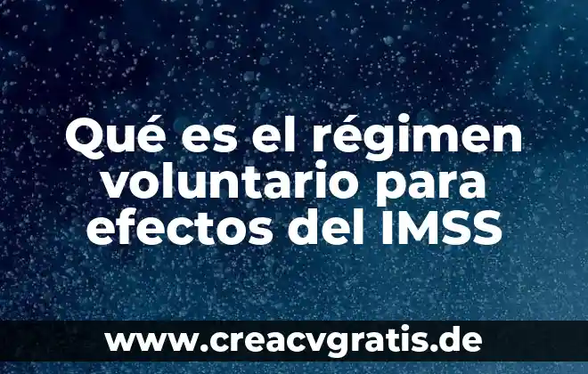 Que es el internet sus efectos 7 Qué es el régimen voluntario para efectos del IMSS