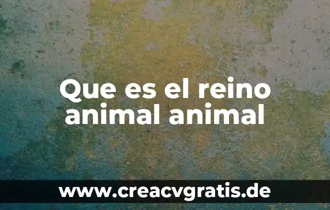 Que es el condado en el reino animal 6 Que es el reino animal animal