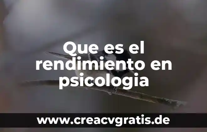 Que es el conflixto y conciliacion en la psicología social 8 Que es el rendimiento en psicologia