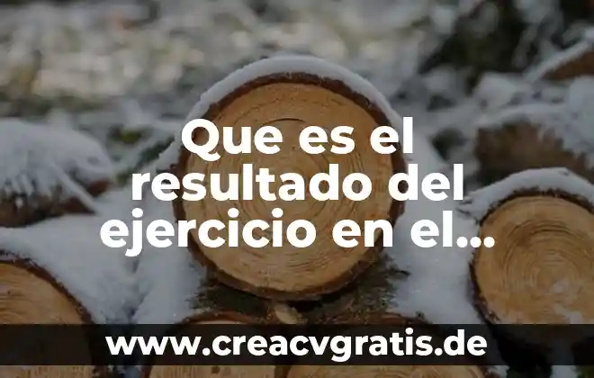 Por qué es importante para el ejercicio el tobillo 4 Que es el resultado del ejercicio en el balance general
