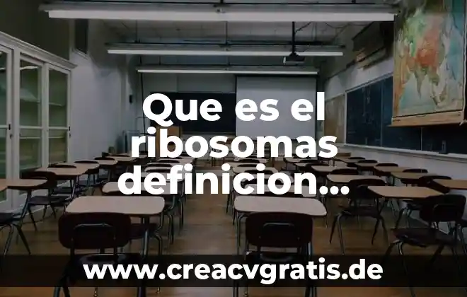 Que es una constelaciones y su significado 4 Que es el ribosomas definicion significado consepto