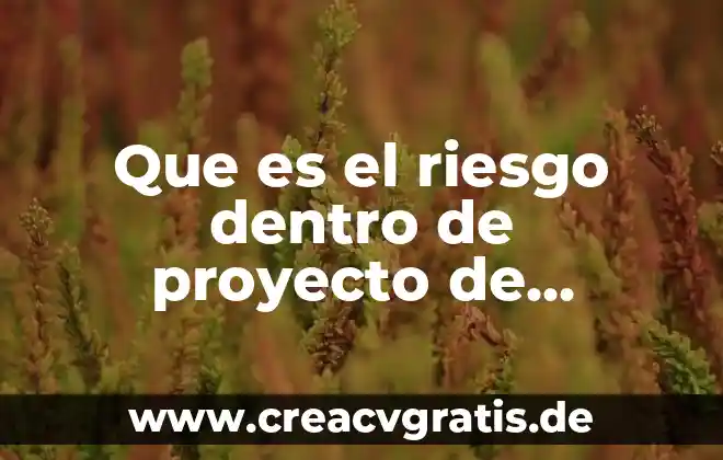 Como explicar que es un conexto social turistico 5 Que es el riesgo dentro de proyecto de gestion social