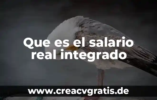 Qué es el circuito integrado 4 Que es el salario real integrado