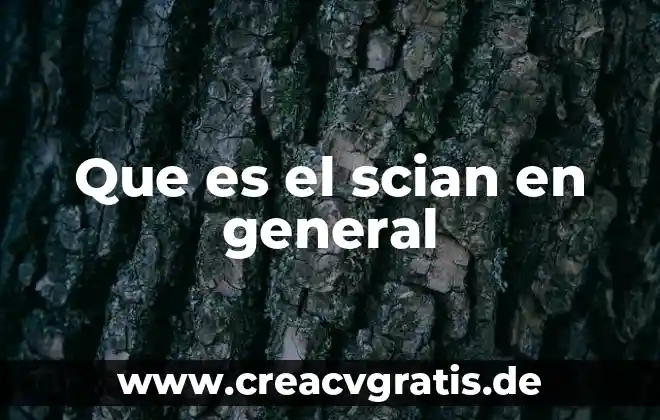 Que es un principio general 6 Que es el scian en general