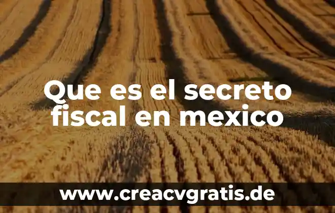 Secreto profesional por que es importante 8 Que es el secreto fiscal en mexico