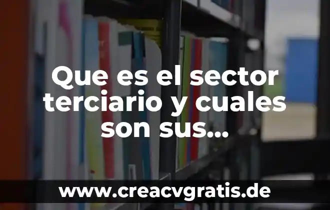 Qué es la electrónica y cuáles son sus tipos 4 Que es el sector terciario y cuales son sus actividades