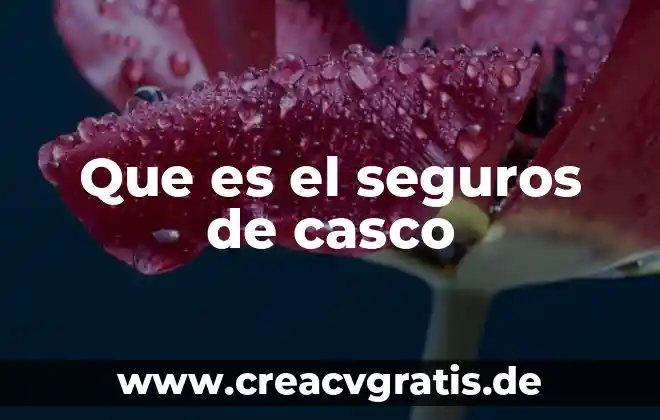 En seguros de daños que es una barredura 3 Que es el seguros de casco