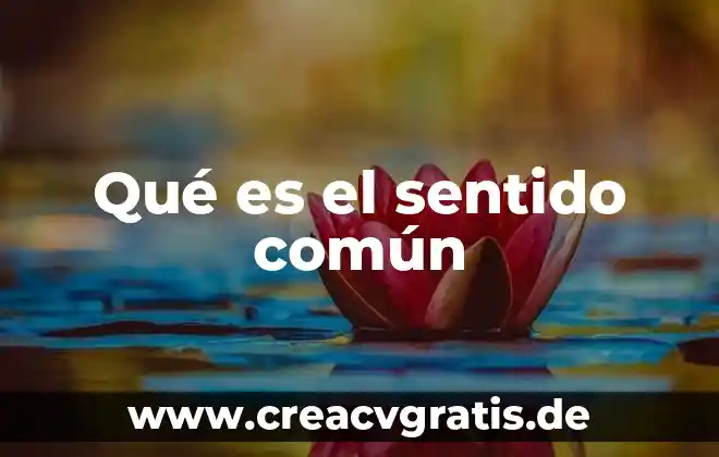 Qué es un diagnóstico definición general 5 Qué es el sentido común