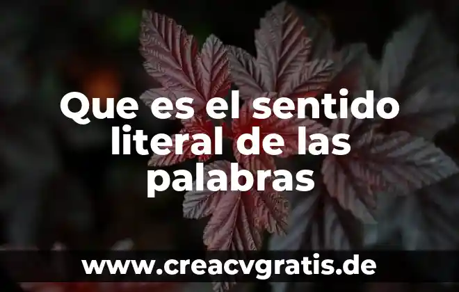 Que es biwenger social 5 Que es el sentido literal de las palabras