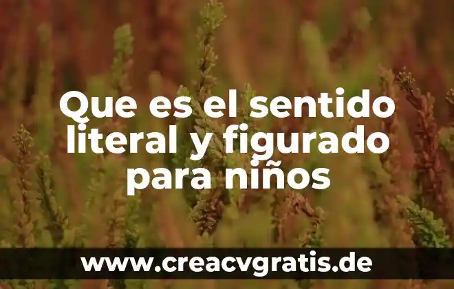Que es el lenguaje figurado y sus tipos 8 Que es el sentido literal y figurado para niños