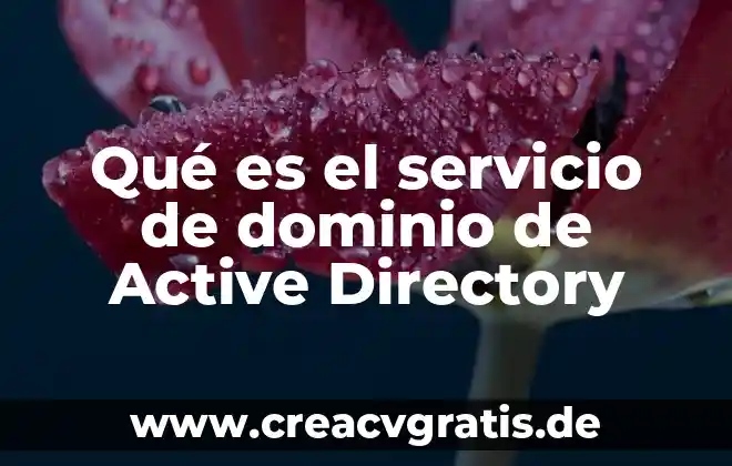 Que es el dominio de relacion 5 Qué es el servicio de dominio de Active Directory