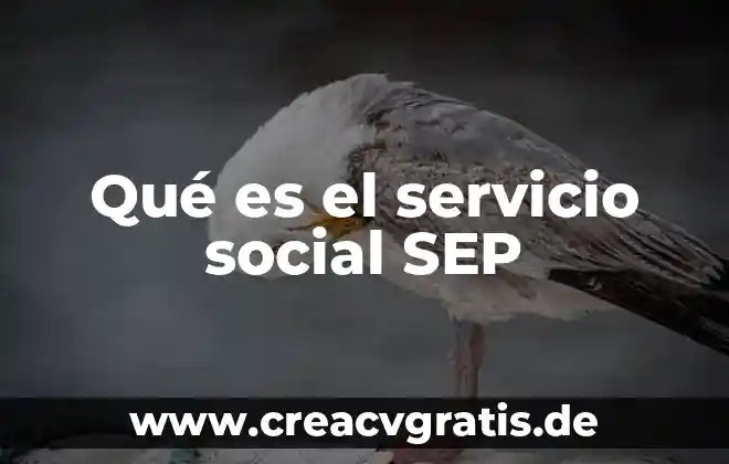 Alias del servicio que es 8 Qué es el servicio social SEP