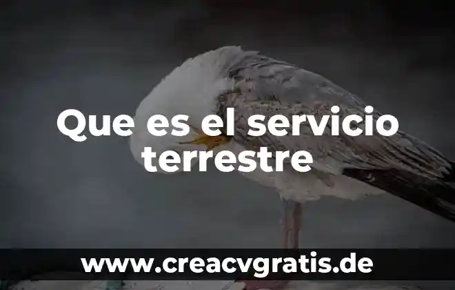 Que es chofer de servicio particular 4 Que es el servicio terrestre