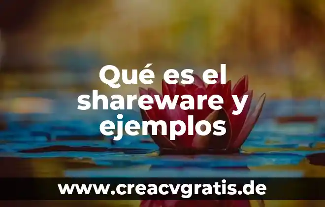 Qué es la rima y sus tres tipos con ejemplos 6 Qué es el shareware y ejemplos