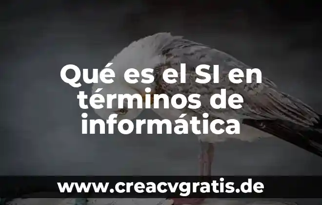 En términos simples qué es la soberanía 8 Qué es el SI en términos de informática