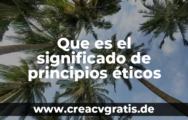 Que es un modelos eticos 6 Que es el significado de principios éticos