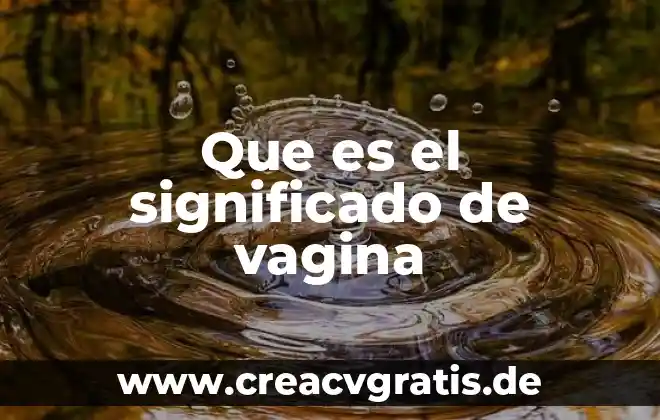 Que es ristre significado 4 Que es el significado de vagina