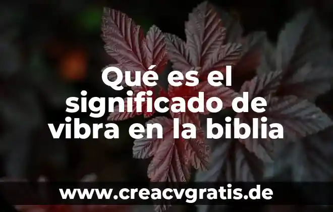 Que es paz según la biblia 4 Qué es el significado de vibra en la biblia