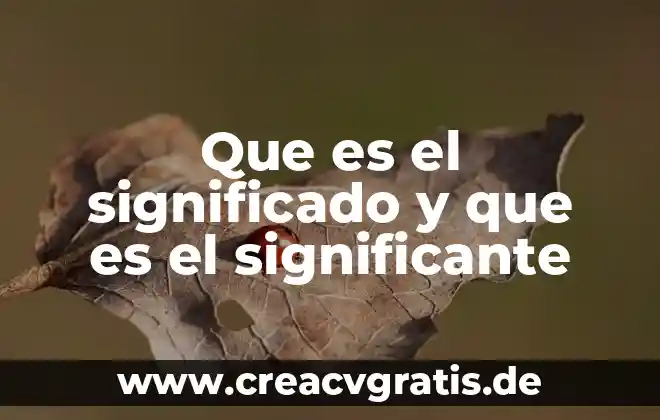 Qué es salud significado 3 Que es el significado y que es el significante