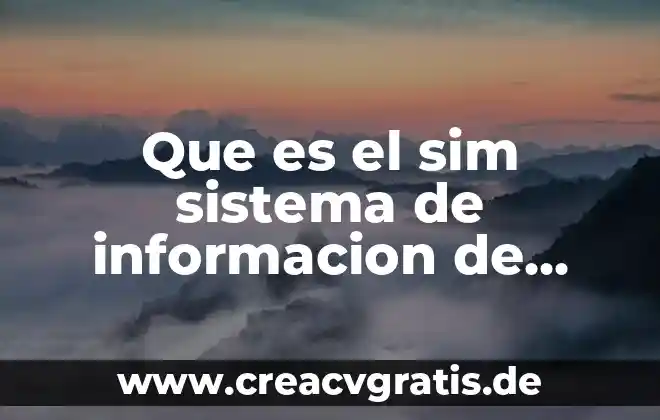 Sistema scriptamiento que es 6 Que es el sim sistema de informacion de mercado