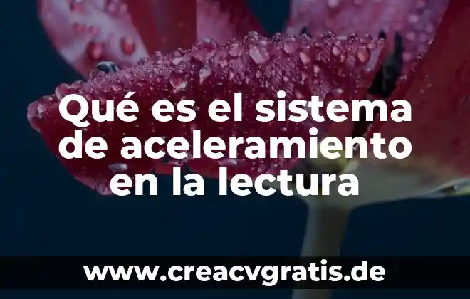 Que es un sistema operativo clasificacion y tipos existen 5 Qué es el sistema de aceleramiento en la lectura