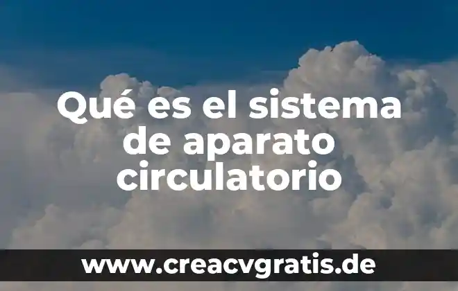 Que es el sistema detector de fuego por puntos 5 Qué es el sistema de aparato circulatorio
