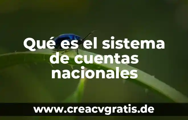 Qué es un activo y pasivo y sus cuentas 8 Qué es el sistema de cuentas nacionales