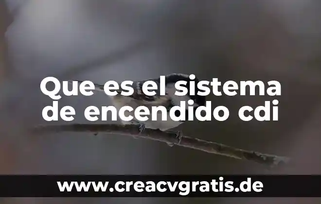 Que es un pictograma de seguridad y para que sirve 5 Que es el sistema de encendido cdi